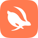 High-speed , 兔子好用翻墙软件